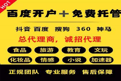 百度竞价排名策略解析：一家公司的广告投放策略全揭秘